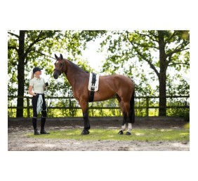 Ramal largo Catherine | 8 metros