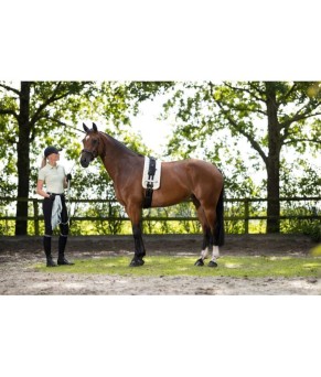 Ramal largo Catherine | 8 metros