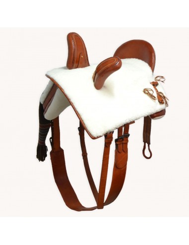 Silla de montar amazonas 'Los Nietos'...