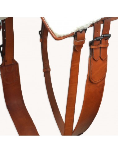 Silla de montar amazonas 'Los Nietos'...