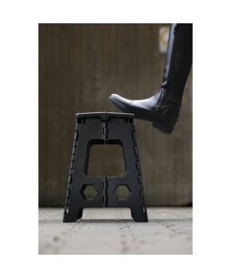 Taburete - escalón plegable Hippotonic