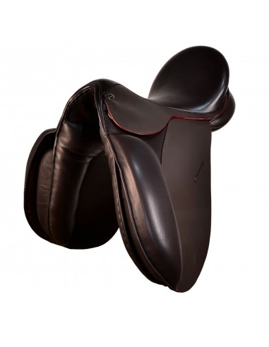 Pack silla de montar inglesa doma |...