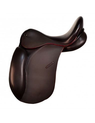 Pack silla de montar inglesa doma |...