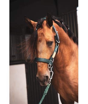 Cabezada cuadra nylon extra "Los Nietos Dressage" | Varios colores