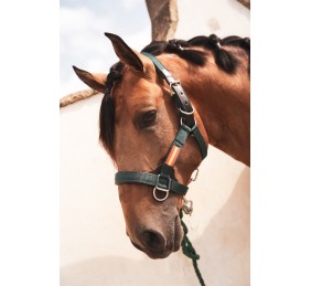 Cabezada cuadra nylon extra "Los Nietos Dressage" | Varios colores