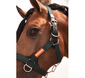 Cabezada cuadra nylon extra "Los Nietos Dressage" | Varios colores