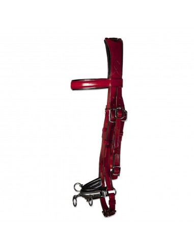 Serretón Competición 'Los Nietos' |...