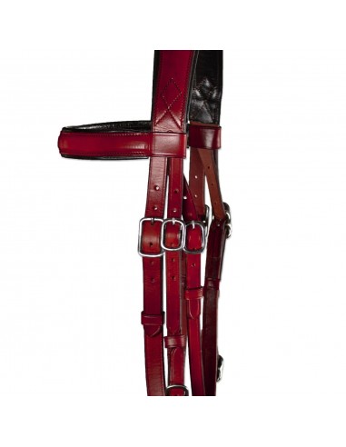 Serretón Competición 'Los Nietos' |...