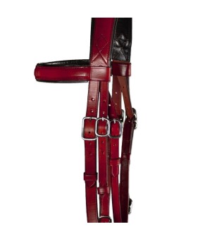 Serretón Competición 'Los Nietos' | Ahogadero y adaptador de filete