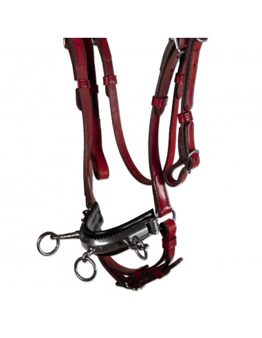 Serretón Competición 'Los Nietos' |...