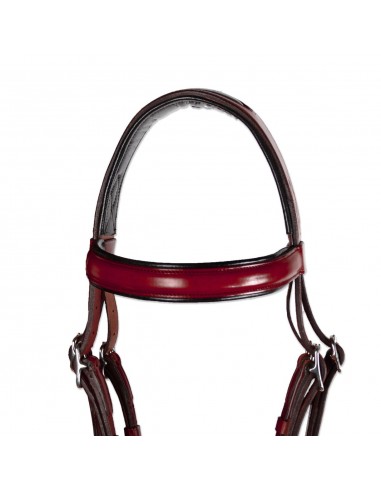 Serretón Competición 'Los Nietos' |...