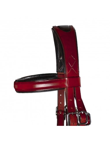 Serretón Competición 'Los Nietos' |...