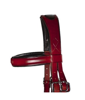 Serretón Competición 'Los Nietos' | Ahogadero y adaptador de filete