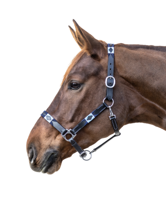 Cabezada de cuero Polo 2