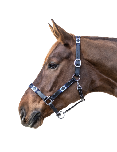 Cabezada de cuero Polo Cabezada de cuero Polo