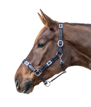 Cabezada de cuero Polo