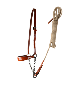 Cabezada de presentación Los Nietos Pavonado