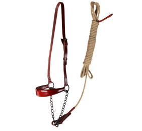 Cabezada de presentación Los Nietos Pavonado