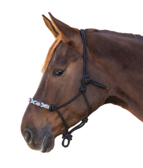 Cabezada anudada Pearls