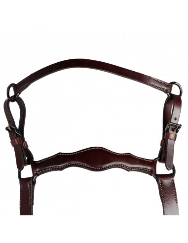 Pechopetral 'Los Nietos' | Hebillas... Pechopetral 'Los Nietos' | Hebillas...