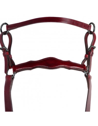 Pechopetral 'Los Nietos' | Hebillas... Pechopetral 'Los Nietos' | Hebillas...