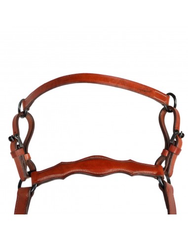 Pechopetral 'Los Nietos' | Hebillas...