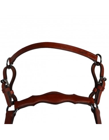 Pechopetral 'Los Nietos' | Hebillas...