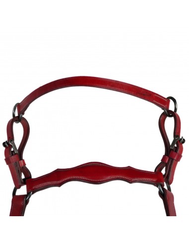 Pechopetral 'Los Nietos' | Hebillas...