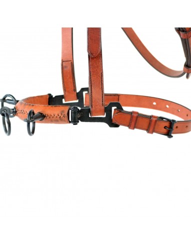 Serretón hebilla pavonada | Tres pilares Serretón hebilla pavonada | Tres pilares