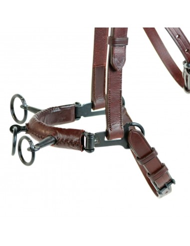 Serretón hebilla pavonada | Tres pilares