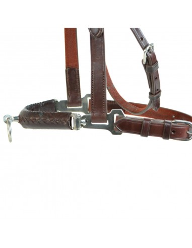 Serretón hebilla inoxidable brillo |...