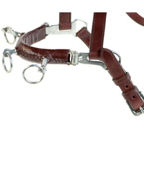 Serretón hebilla inoxidable brillo | Tres pilares