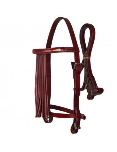 Cabezada vaquera 'Los Nietos' |... Cabezada vaquera 'Los Nietos' |...