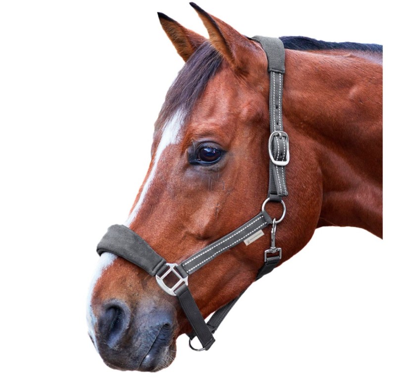 Cabezada de cuadra Alcántara