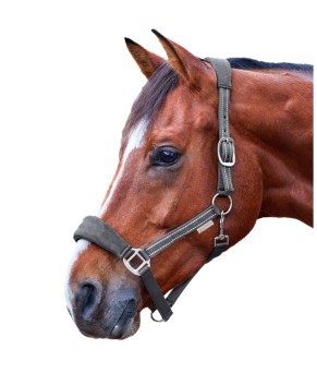 Cabezada de cuadra Alcántara