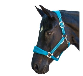 Cabezada de cuadra Alcántara