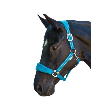 Cabezada de cuadra Alcántara