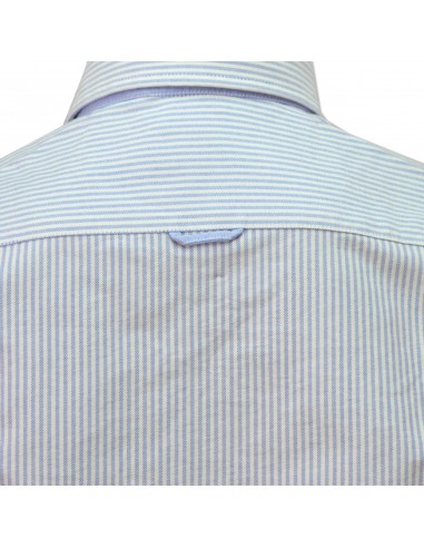 CAMISA ML 55329 Raya celeste TECKEL