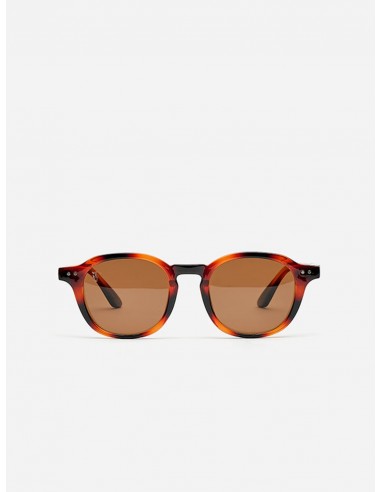 Gafas de sol Canvey | La Garrocha