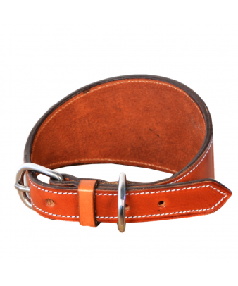 Collar de Galgo Los Nietos... 2