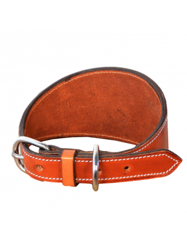 Collar de Galgo Los Nietos Personalizado