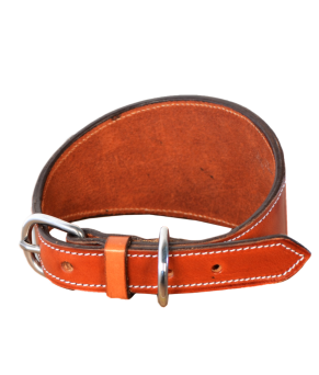 Collar de galgo personalizado Guarnicionería Los Nietos