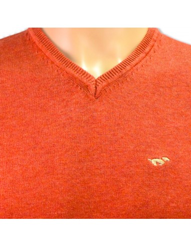 Jersey de punto cuello de pico Teckel...