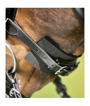 Acolchado para brida