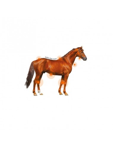 Crema Animaderm Derfen™ transparente