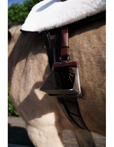 Silla de montar amazonas 'Los Nietos'...