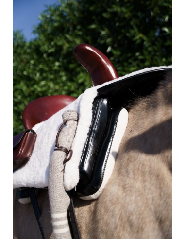 Silla de montar amazonas 'Los Nietos'...