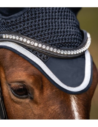 Mosquero modelo 'Competition'