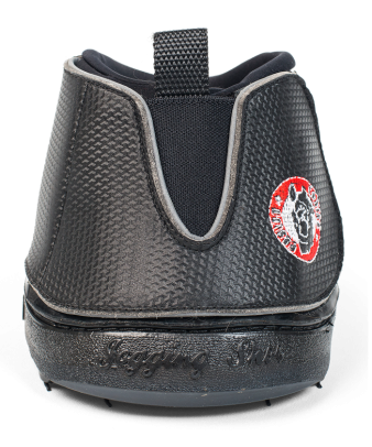 Campanas Equine Fusion®... 2