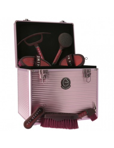 Caja de limpieza Je t'aime EQUITHÈME